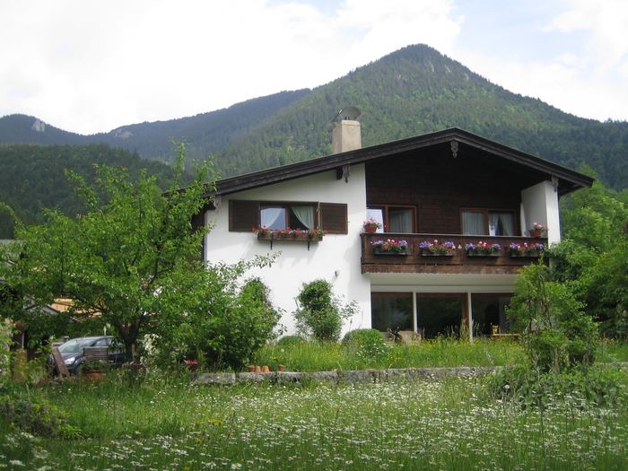 Das Haus im Sommer, davor die Blumenwiese
